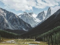 樱花动漫像做复盘：先对齐字幕加戏吗，再把定论改概率（不费劲但管用）