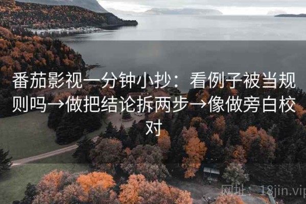 番茄影视一分钟小抄：看例子被当规则吗→做把结论拆两步→像做旁白校对