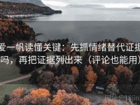 爱一帆读懂关键：先抓情绪替代证据吗，再把证据列出来（评论也能用）
