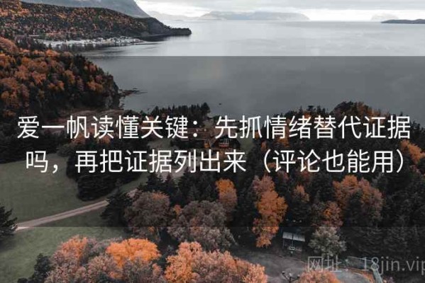 爱一帆读懂关键：先抓情绪替代证据吗，再把证据列出来（评论也能用）