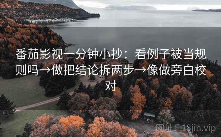 番茄影视一分钟小抄：看例子被当规则吗→做把结论拆两步→像做旁白校对